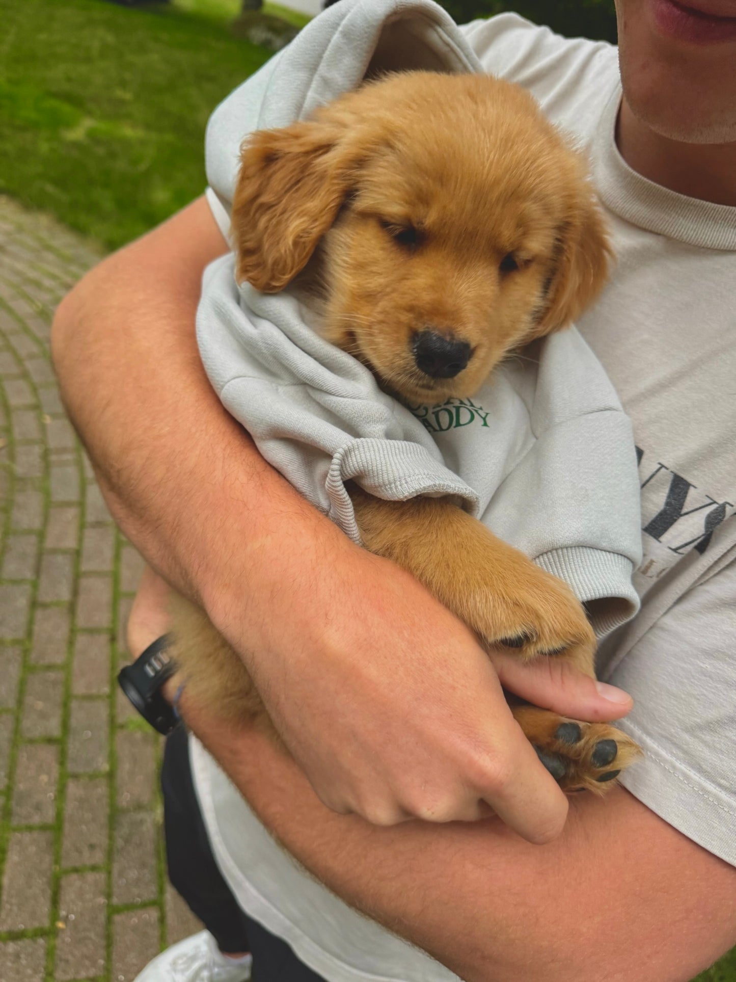 Clubhouse Comfort Hoodie - Dog