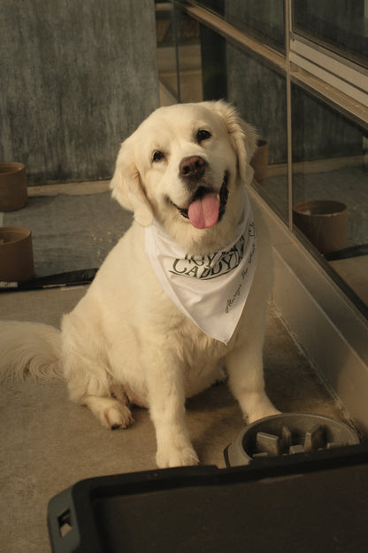 Greenside Bandana