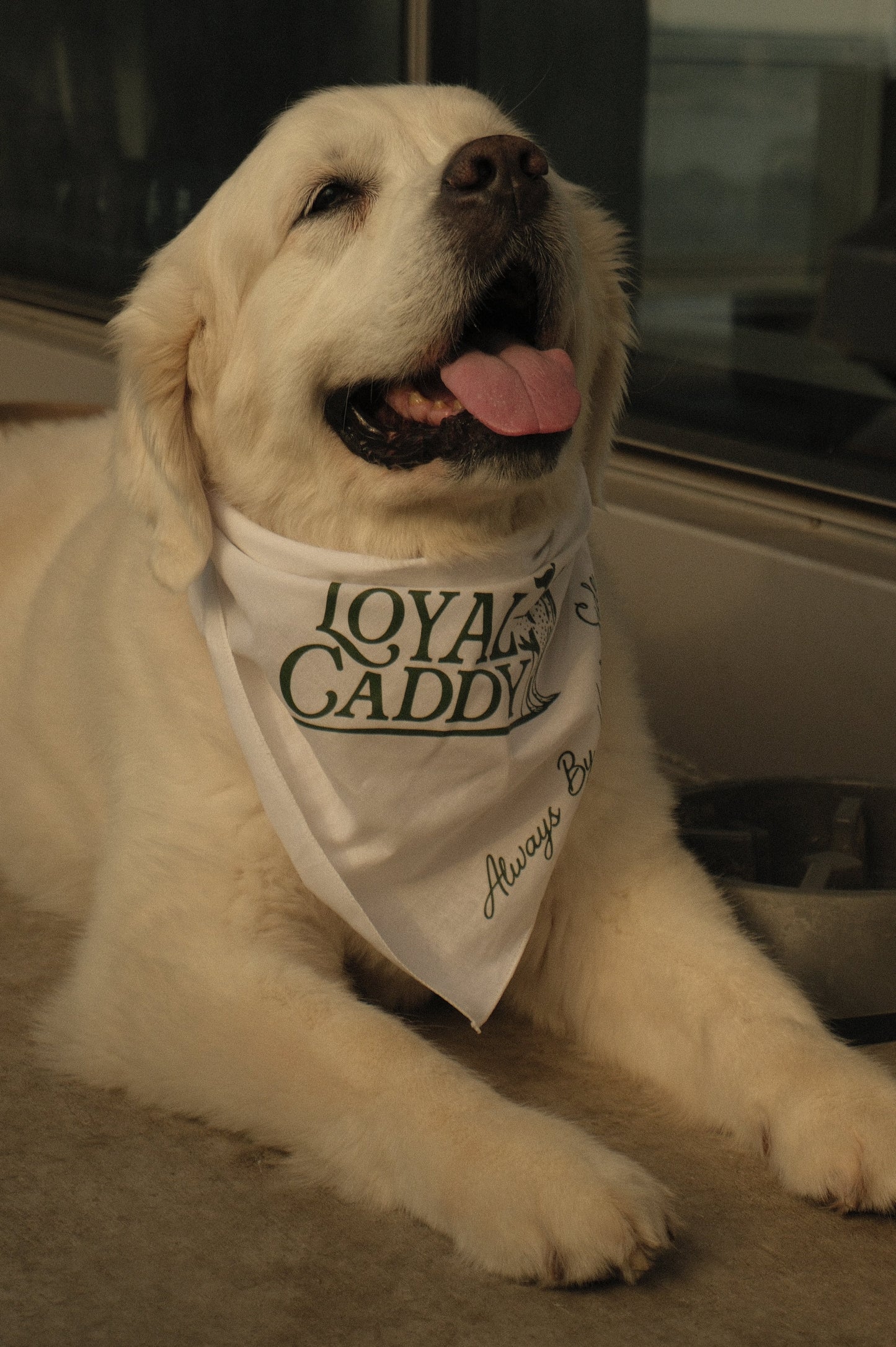 Greenside Bandana