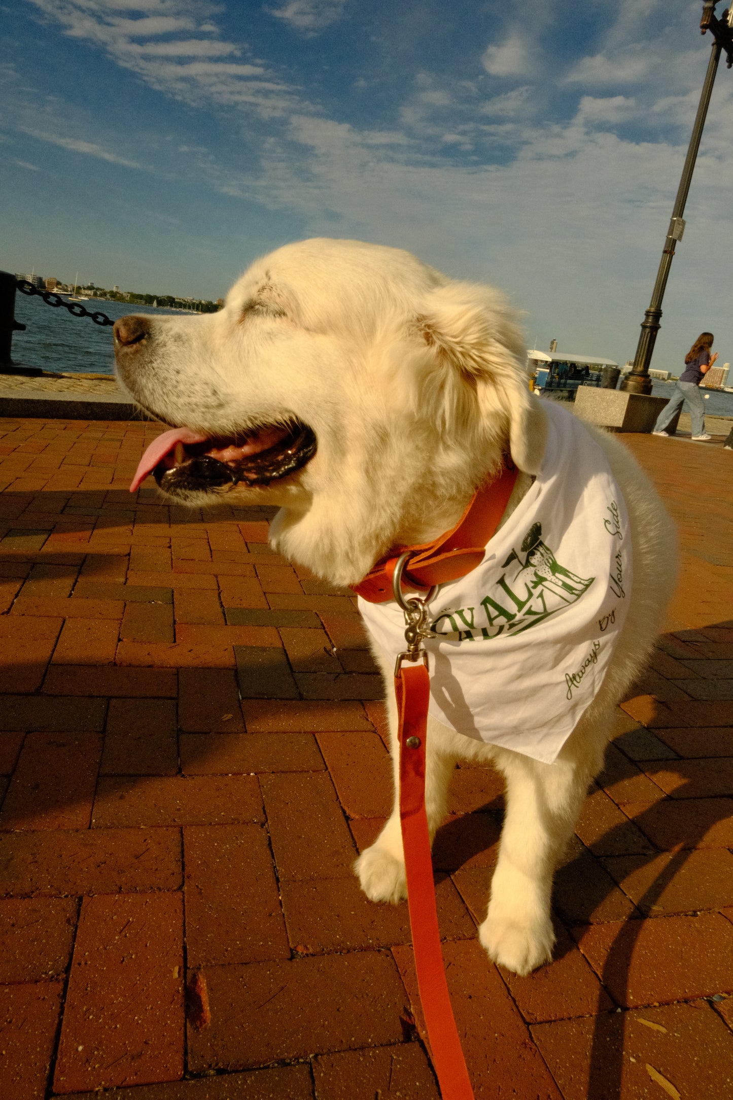 Greenside Bandana