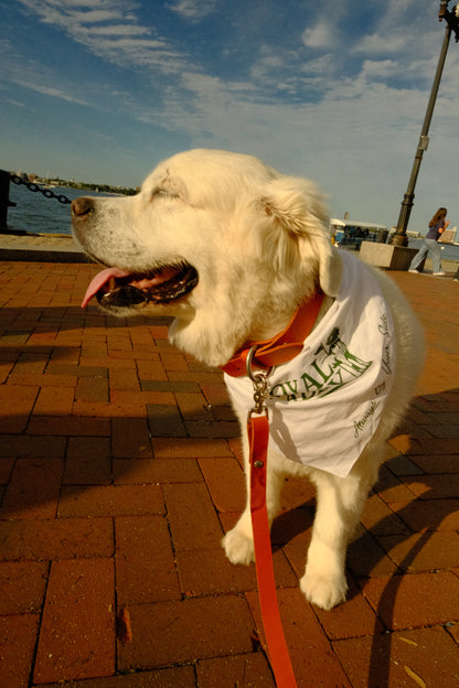 Greenside Bandana