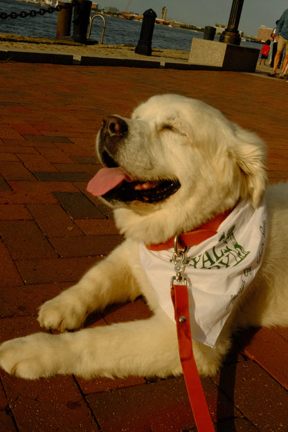 Greenside Bandana