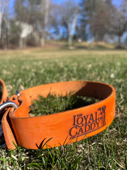 Dog Collar
