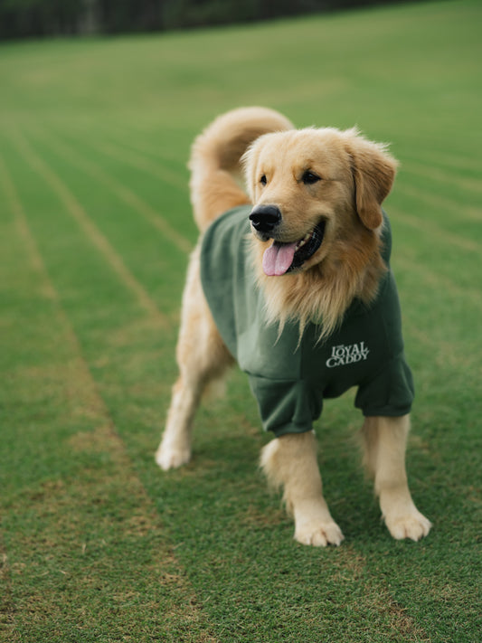 Clubhouse Comfort Hoodie - Dog